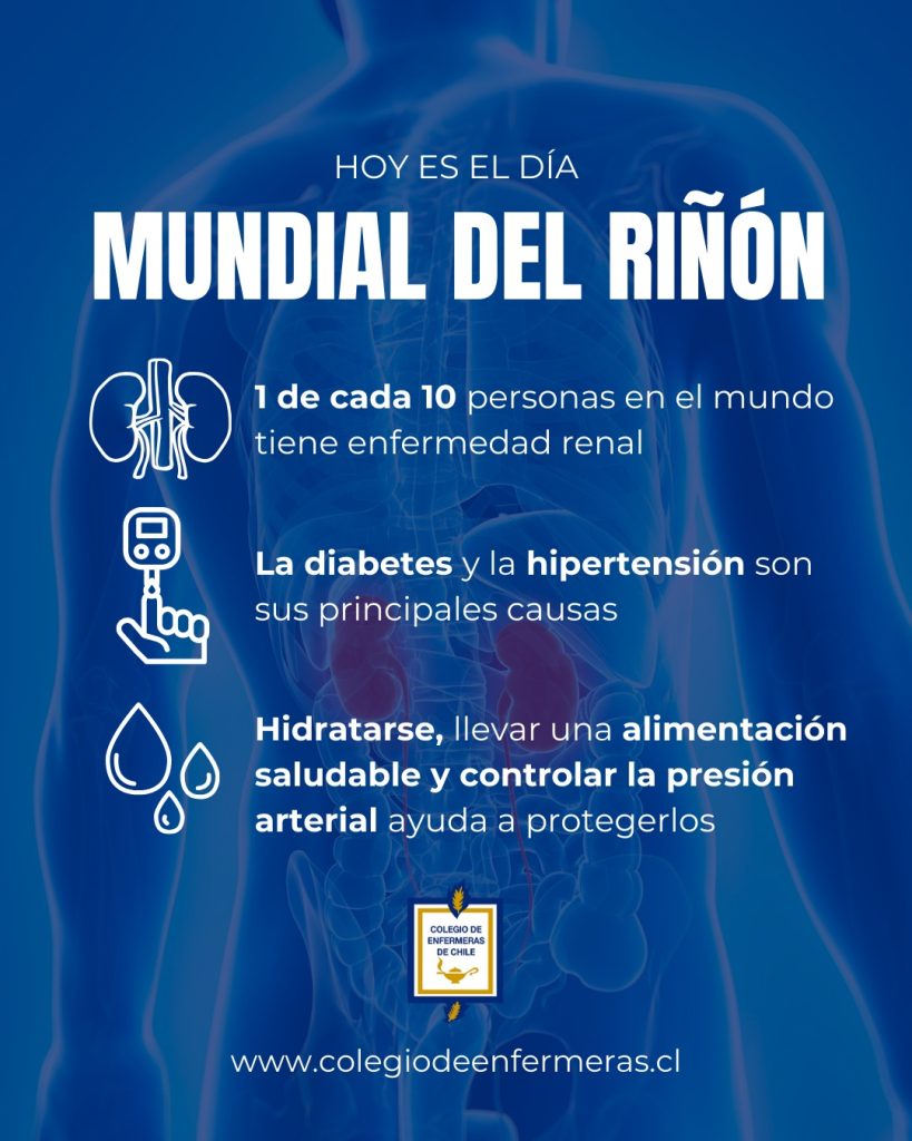 Día Mundial del Riñón se conmemoró el pasado 13 de marzo – Colegio de ...